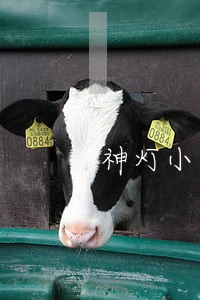 神灯小贷逾期不给借 神灯小贷逾期不给借