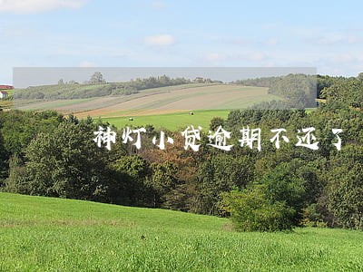 神灯小贷逾期不还了 神灯小贷逾期不还了