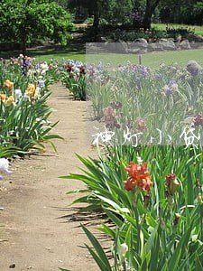 神灯小贷逾期了 神灯小贷逾期了