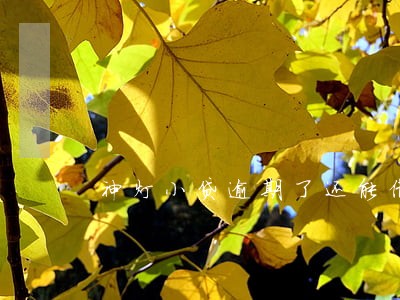 神灯小贷逾期了还能借