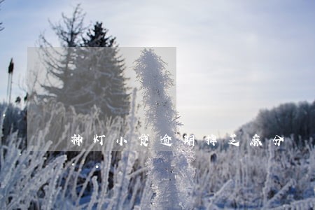 神灯小贷逾期掉芝麻分 神灯小贷逾期掉芝麻分