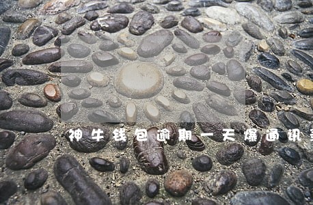 神牛钱包逾期一天爆通讯录 神牛钱包逾期一天爆通讯录