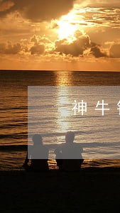 神牛钱包逾期怎么办 神牛钱包逾期怎么办