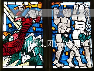 神雾集团贷款逾期 神雾集团贷款逾期