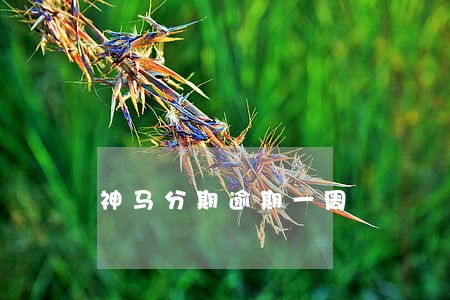 神马分期逾期一周