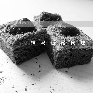 神马诉讼代理 神马诉讼代理