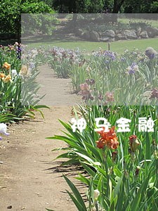 神马金融逾期会上征信吗 神马金融逾期会上征信吗