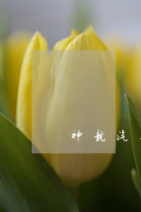 神龙汽车车款逾期多久会影响征信 神龙汽车车款逾期多久会影响征信