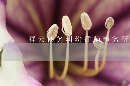 祥云债务纠纷律师事务所 祥云债务纠纷律师事务所