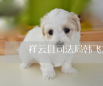祥云县司法局韩飞龙简历 祥云县司法局韩飞龙简历
