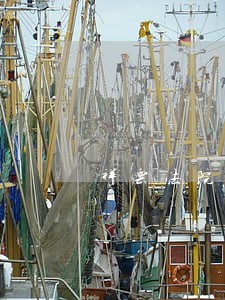 祥云法院王永清 祥云法院王永清
