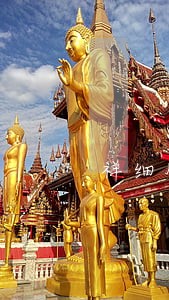 祥细版征信含保险逾期吗 祥细版征信含保险逾期吗