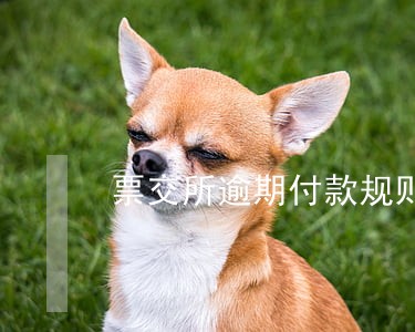 票交所逾期付款规则 票交所逾期付款规则