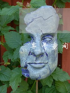 票号查询征信逾期 票号查询征信逾期