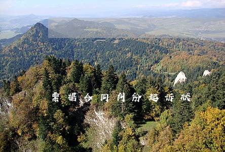 票据合同纠纷起诉状 票据合同纠纷起诉状