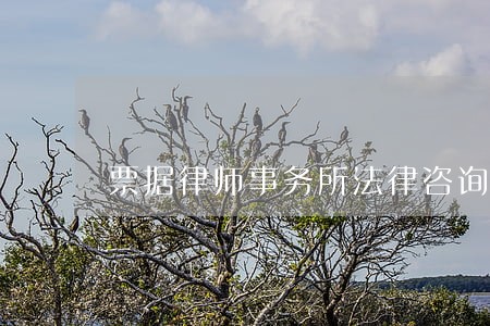 票据律师事务所法律咨询