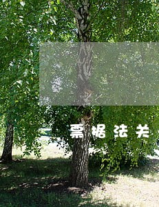 票据法关于逾期付款利息计算 票据法关于逾期付款利息计算