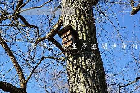 票据状态显示逾期提示付款待签收 票据状态显示逾期提示付款待签收