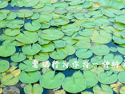 票据行为作为一种特定的法律行为 票据行为作为一种特定的法律行为