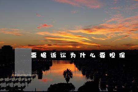 票据诉讼为什么要担保 票据诉讼为什么要担保