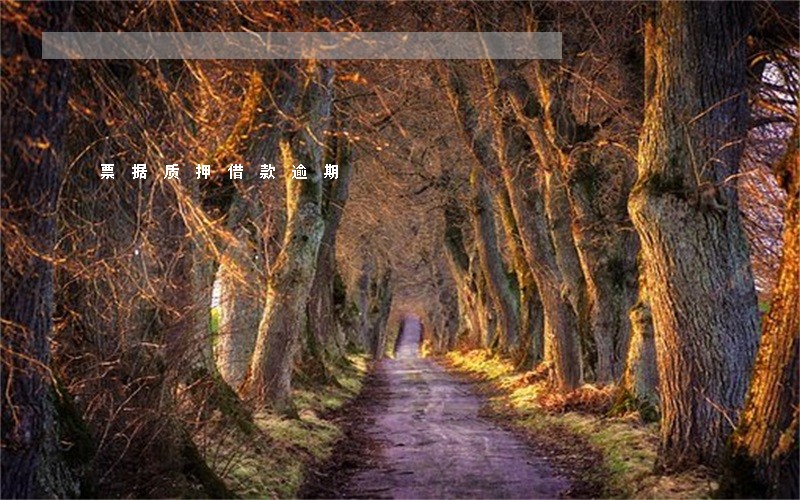 票据质押借款逾期 票据质押借款逾期