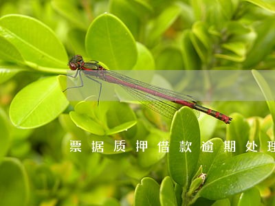 票据质押借款逾期处理 票据质押借款逾期处理