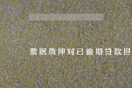 票据质押对已逾期贷款担保 票据质押对已逾期贷款担保