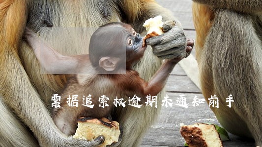 票据追索权逾期未通知前手 票据追索权逾期未通知前手