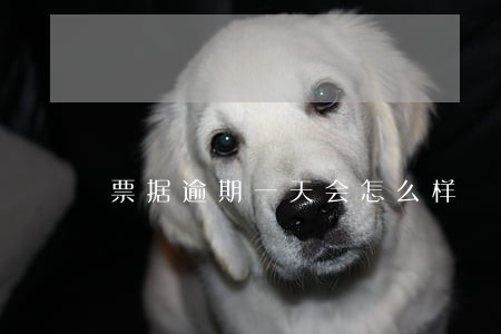 票据逾期一天会怎么样