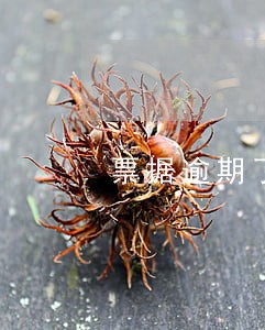 票据逾期了可以提示付款吗 票据逾期了可以提示付款吗