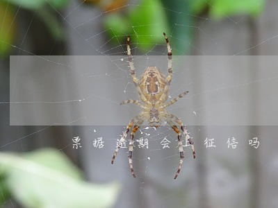 票据逾期会上征信吗 票据逾期会上征信吗