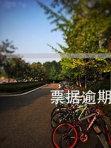 票据逾期会影响信用卡吗 票据逾期会影响信用卡吗
