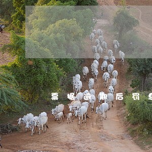 票据逾期后罚息标准 票据逾期后罚息标准