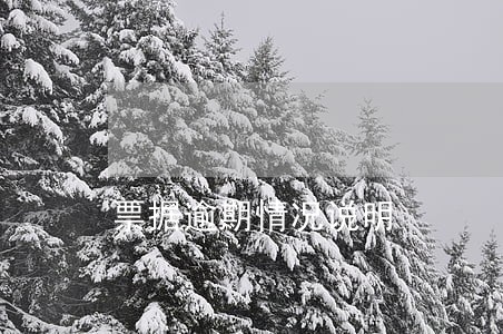 票据逾期情况说明 票据逾期情况说明