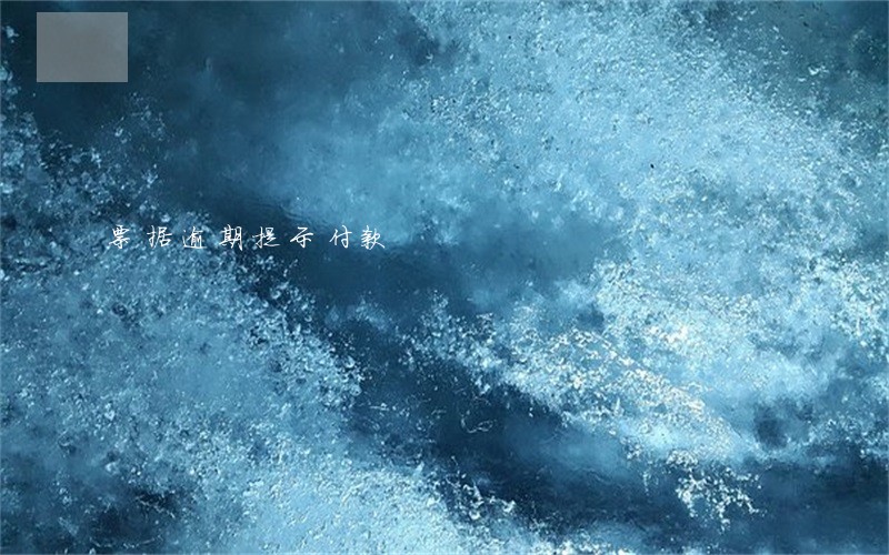 票据逾期提示付款 票据逾期提示付款