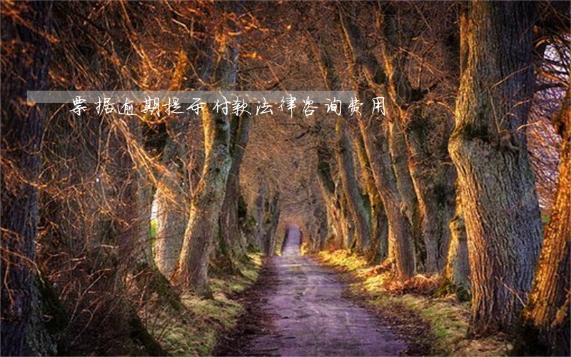 票据逾期提示付款法律咨询费用 票据逾期提示付款法律咨询费用