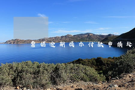 票据逾期提示付款申请处理中 票据逾期提示付款申请处理中