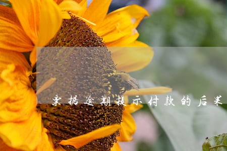 票据逾期提示付款的后果 票据逾期提示付款的后果