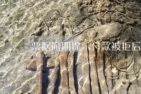 票据逾期提示付款被拒后怎么办 票据逾期提示付款被拒后怎么办