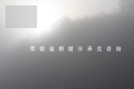 票据逾期提示承兑咨询 票据逾期提示承兑咨询