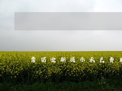 票据逾期提示承兑费用 票据逾期提示承兑费用