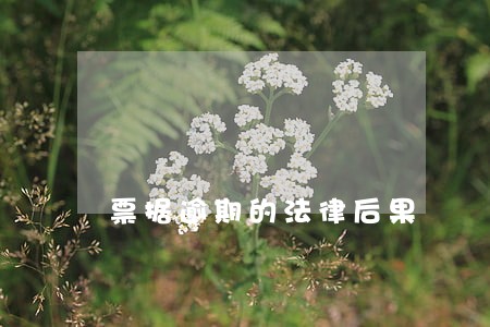 票据逾期的法律后果 票据逾期的法律后果