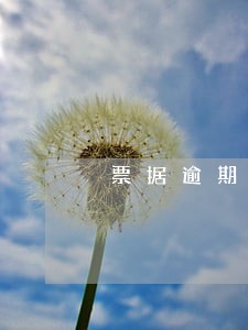 票据逾期罚息怎么处理 票据逾期罚息怎么处理