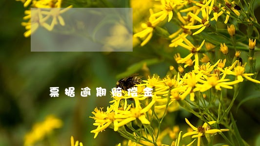 票据逾期赔偿金