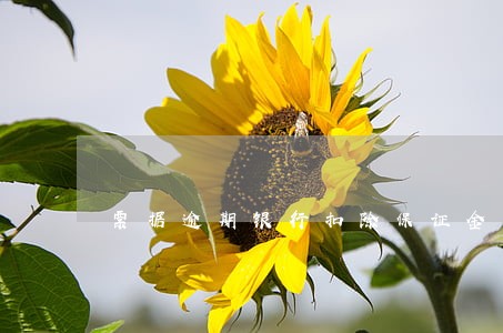 票据逾期银行扣除保证金 票据逾期银行扣除保证金