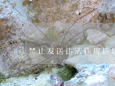 禁止发送违法违规信息 禁止发送违法违规信息