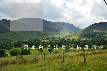 禁止向违法建设供应预拌混凝土 禁止向违法建设供应预拌混凝土