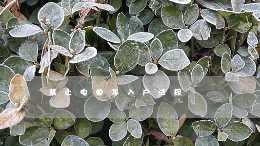 禁止电单车入户法规 禁止电单车入户法规