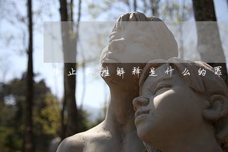 禁止类推解释是什么的罪刑法定
