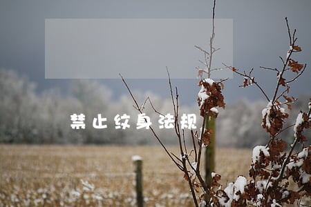 禁止纹身法规